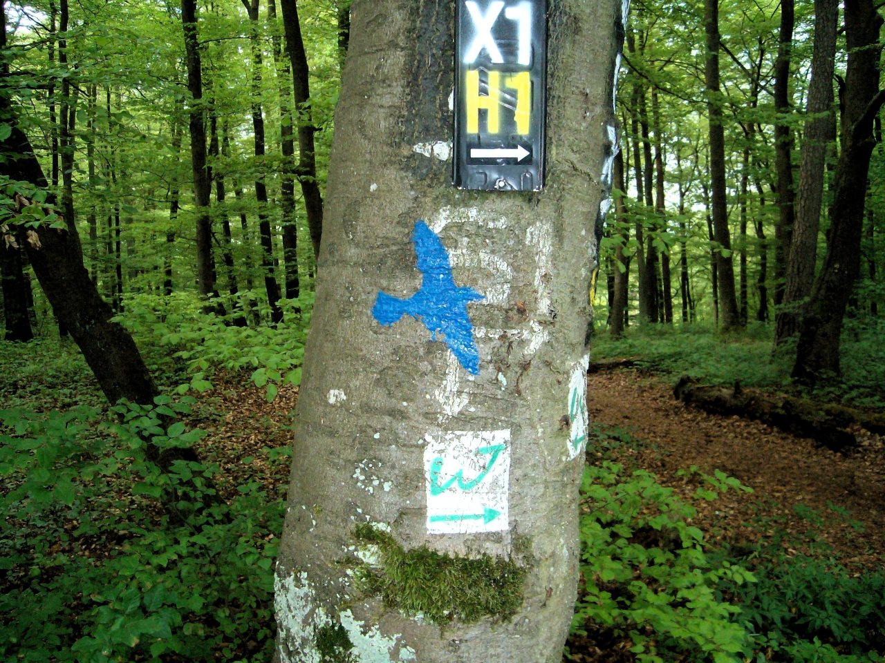 Wanderweg 'Blau'