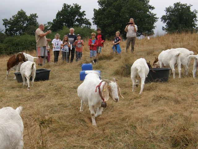 Ferienpassaktion 2016