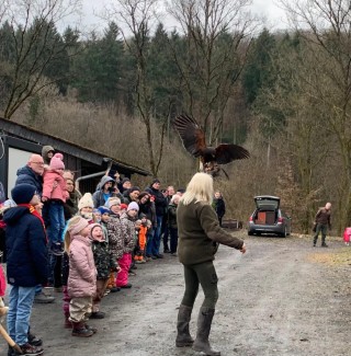 Greifvögel Presentation