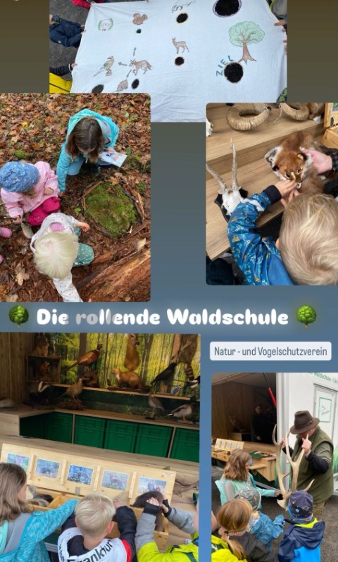 Wald-Mobil